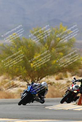 media/Apr-10-2022-SoCal Trackdays (Sun) [[f104b12566]]/Turn 5 Tree of Life (1040am)/